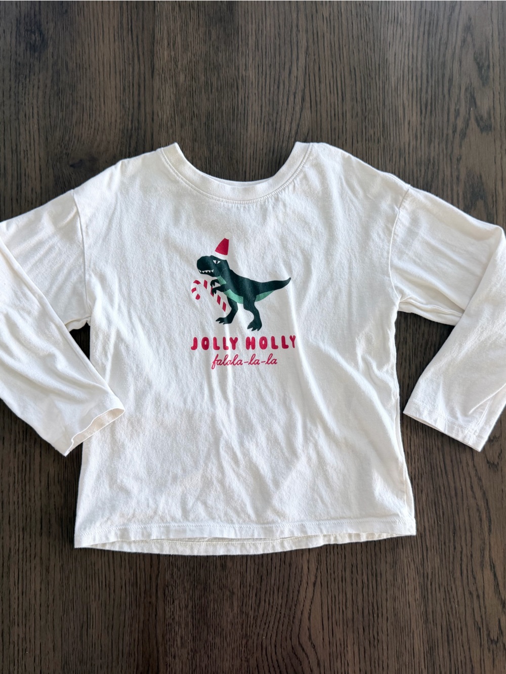 H&M Kids (5-6) White Long-Sleeve Tee with Green Dinosaur and Santa Accents